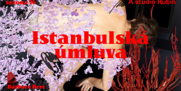 A studio Rubín uvede dokumentární inscenaci Istanbulska úmluva režisérky Barbary Herz